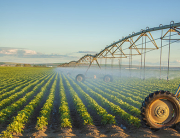 Certificados del Área Profesional de Agricultura - CUALIFICA