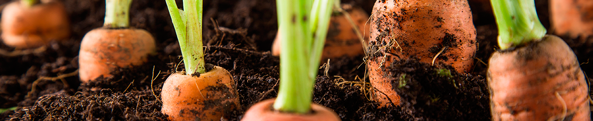 Agricultor ecológico