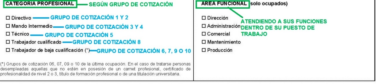 Categorías profesional