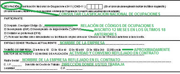 Entidad