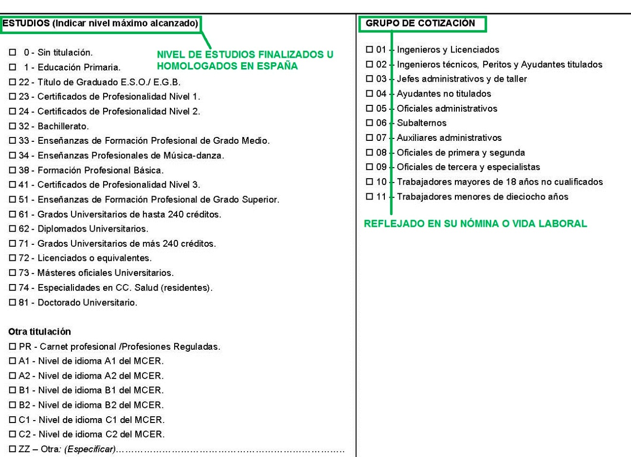 Nivel estudios