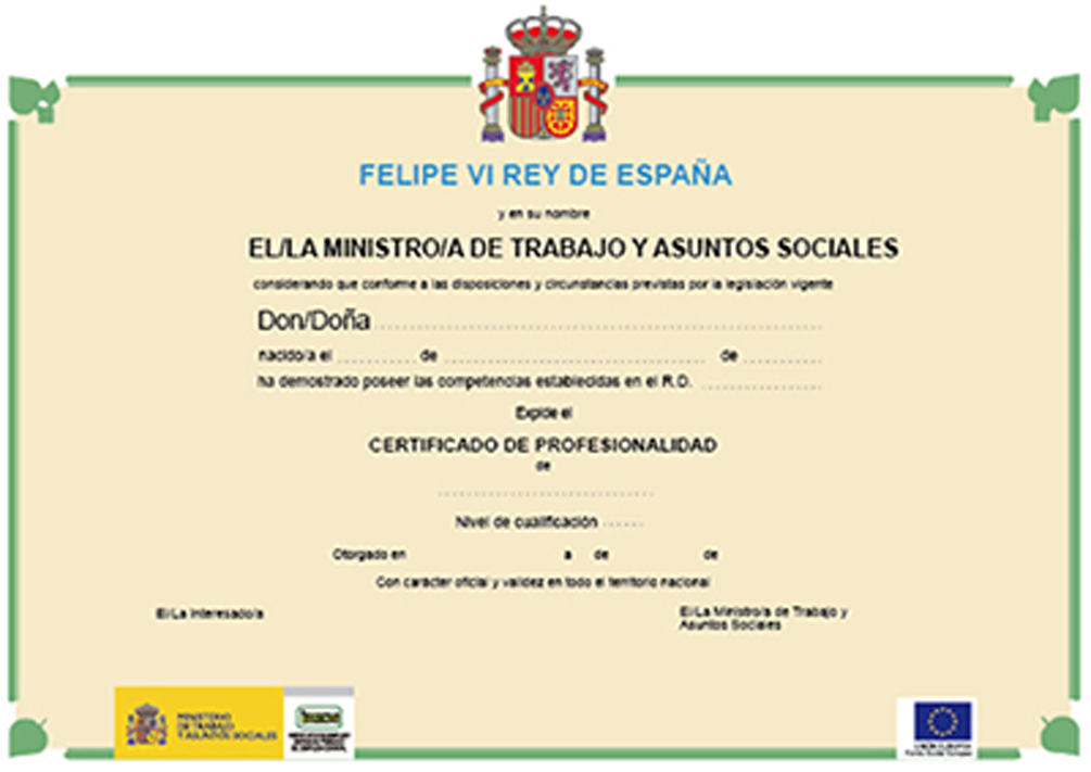 Certificado expedido por nuestro centro de formación avalado por Ministerio de Trabajo, Migraciones y Seguridad Social y el Servicio de Empleo Estatal (SEPE)